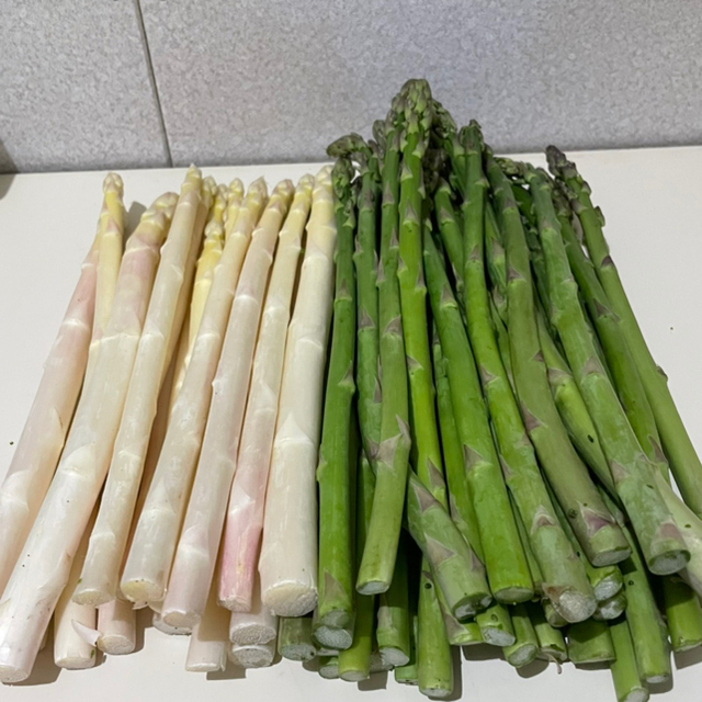 北海道産 採れたてグリーン・ホワイトアスパラ食べ比べセット S〜L 1kg 食品/飲料/酒の食品(野菜)の商品写真