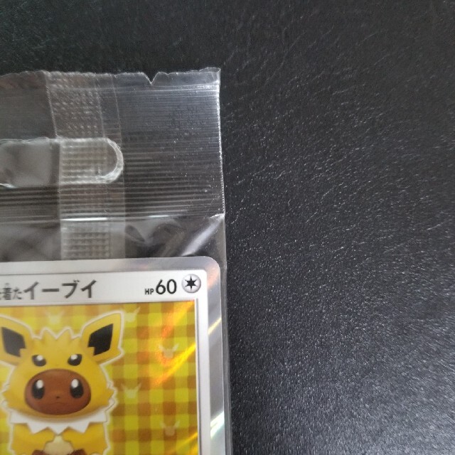 ポケモンカード　ポンチョを着たイーブイ　サンダース　プロモ　未開封 2