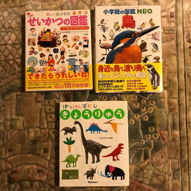 高い 値下げしました！　図鑑　NEO 小学館　14冊＋1冊（売り切りの為値引き可）