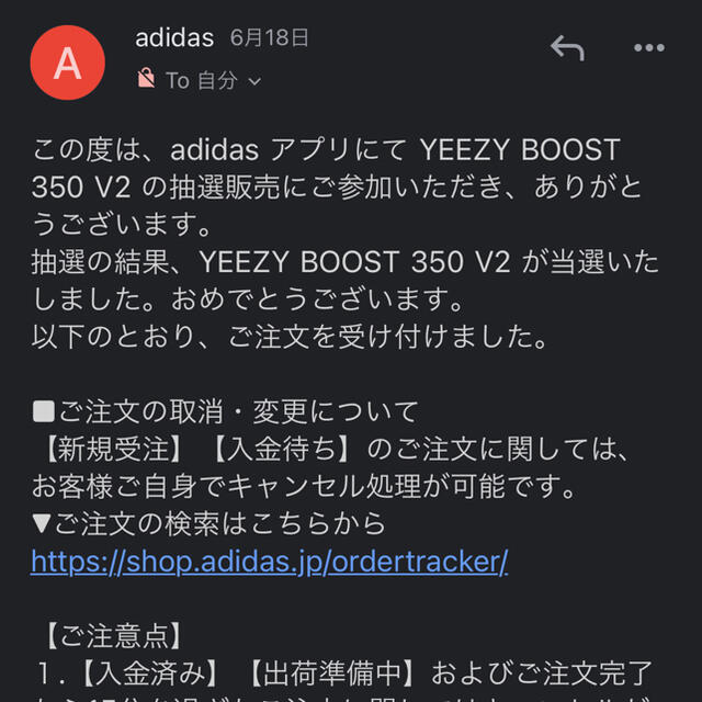 YEEZY BOOST 350 V2 GW2870 2