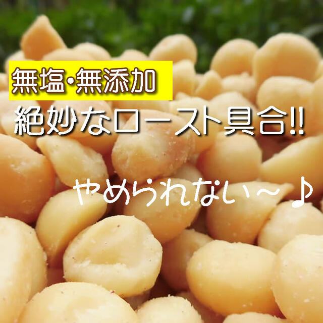 ナッツ　マカダミアナッツ　無塩　無添加　1kg　塩分不使用　菓子/デザート