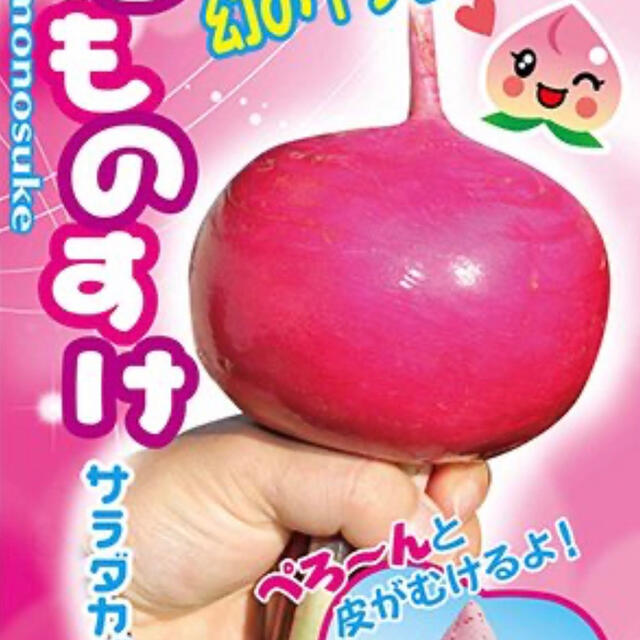 手で皮がむける!幻のサラダカブ もものすけ 種 野菜の種20個 食品/飲料/酒の食品(野菜)の商品写真