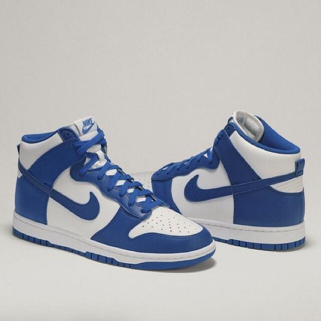 NIKE - 新品未使用 NIKE DUNK HIGH 