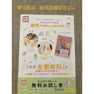 キタムラ(Kitamura)のスタジオマリオ 無料お試し券(その他)