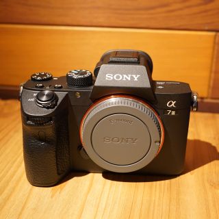 ソニー(SONY)のSONY α7Ⅲ ILCE-7M3 ショット数290(ミラーレス一眼)