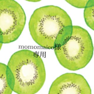 ＊momomaico様専用　キーホルダー＊(バッグチャーム)