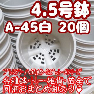 プラ鉢4.5号鉢【A-45】20個 スリット鉢 丸 プレステラ 多肉植物(プランター)