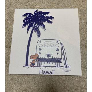 スヌーピー(SNOOPY)のsnoopy Hawaii キャンパス額(その他)