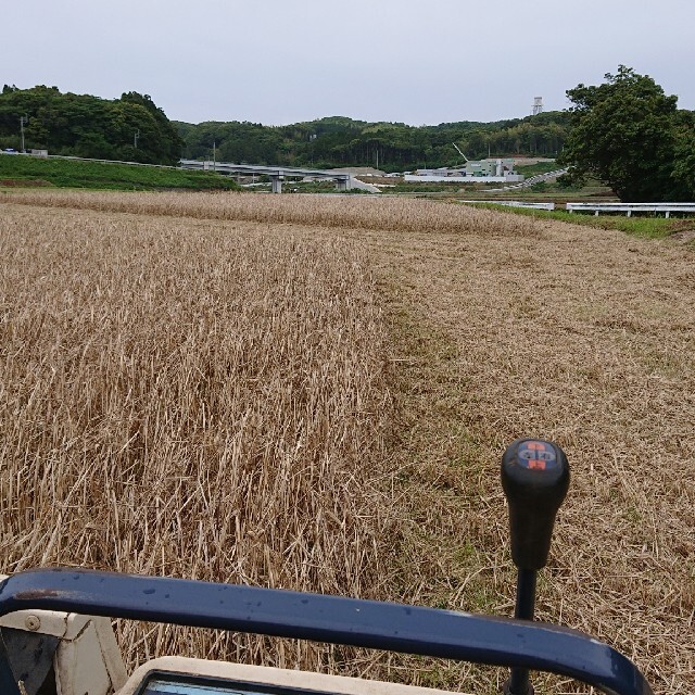 業務用紫もち麦30kg(ダイシモチ)令和３年産 食品/飲料/酒の食品(米/穀物)の商品写真