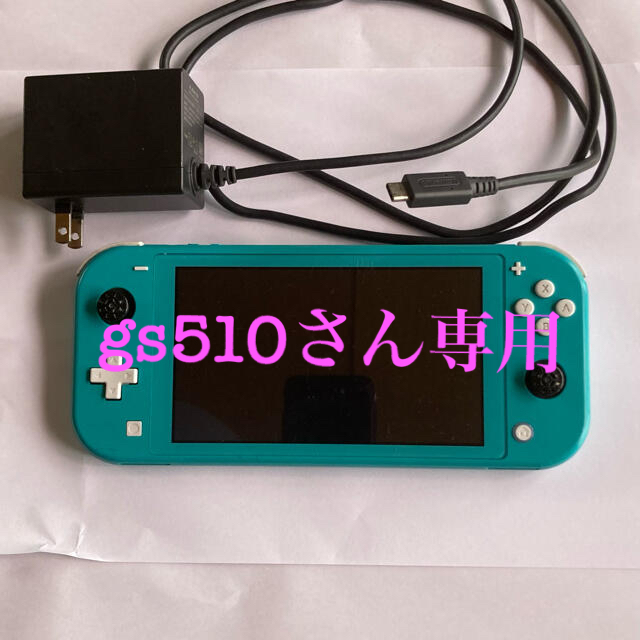 ニンテンドースイッチライト ジャンク - cemac.org.ar