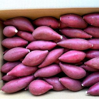 めばちこ様専用です！丸細ＳＳ熟成シルクスイート5kgさつまいも(野菜)