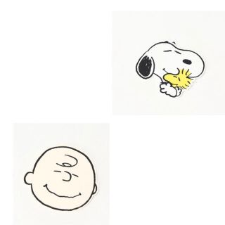 アフタヌーンティー(AfternoonTea)のpeanuts✖︎Afternoonteaスヌーピーチャーリーブラウンコースター(テーブル用品)