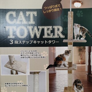 キャットタワー(猫)