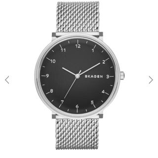 スカーゲン(SKAGEN)のSKAGEN 時計(腕時計(アナログ))