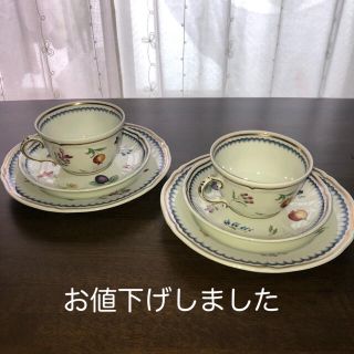 リチャードジノリ(Richard Ginori)のリチャードジノリ　イタリアンフルーツ　ティーカップ&ケーキ皿(食器)