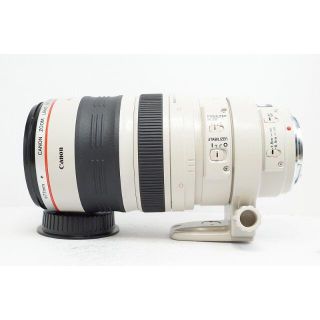 キヤノン(Canon)の手振れ補正  EF100-400mm F4.5-5.6 L IS USM(レンズ(ズーム))