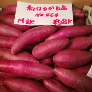 超お得!!　訳あり☆限定品☆ねっとり甘い貯蔵品紅はるかB品約８Kです。(野菜)