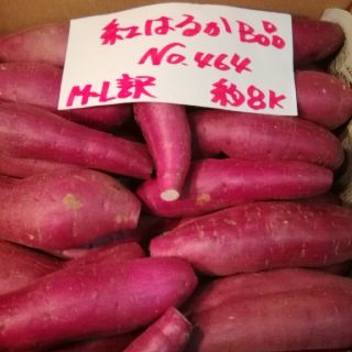 超お得!!　訳あり☆限定品☆ねっとり甘い貯蔵品紅はるかB品約８Kです。(野菜)