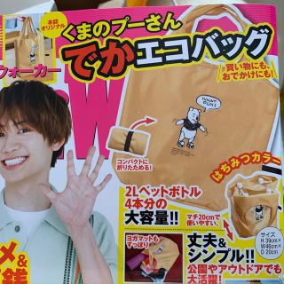 クマノプーサン(くまのプーさん)の東海Walker (ウォーカー) 2021年 07月号　付録のみ(エコバッグ)