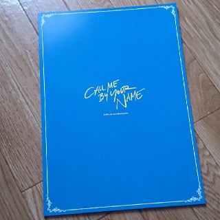 call me by yourname 君の名前で僕を呼んで 豪華版パンフレット(外国映画)