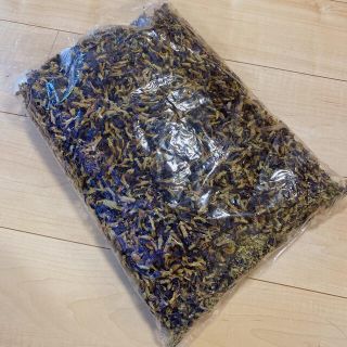 在庫処分価格！バタフライピー約500g!🦋(ドライフラワー)