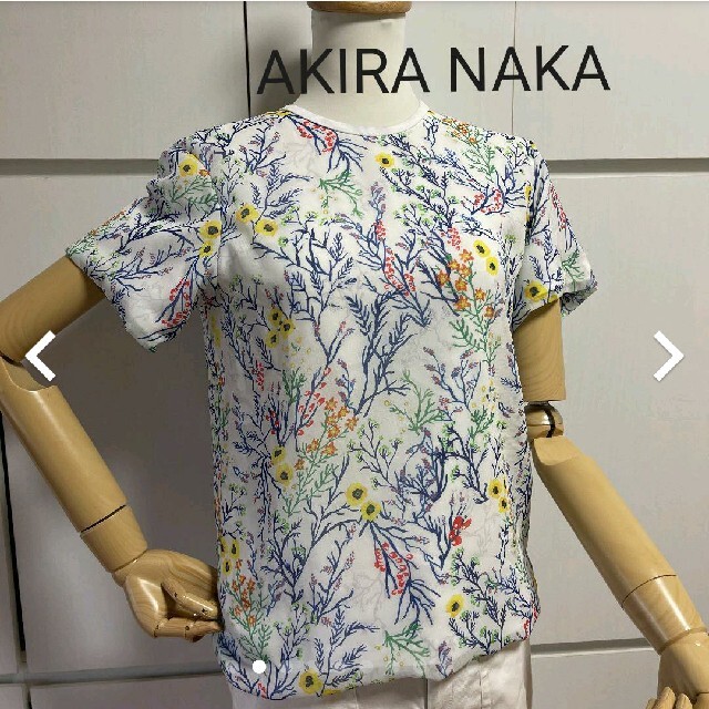 2セット以上購入で、おまけ1本 AKIRA NAKA 半袖シフォンブラウス