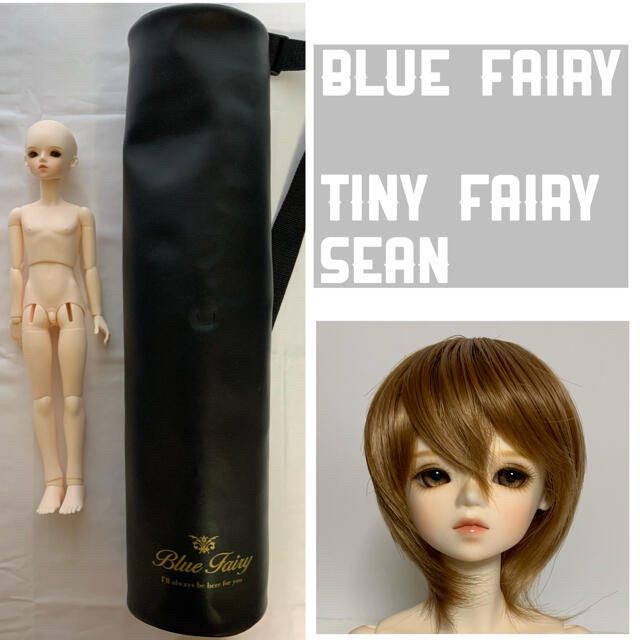 Blue Fairy Tiny Fairy Sean 男の子 BJD ドール