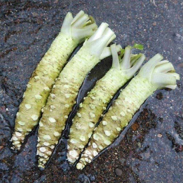 【 nao様専用 】 食品/飲料/酒の食品(野菜)の商品写真