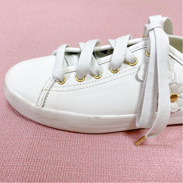 kate spade new york(ケイトスペードニューヨーク)のkeds×ケイトスペード スニーカー US5 レディースの靴/シューズ(スニーカー)の商品写真