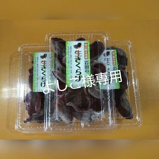 光市産 生キクラゲ 約３kg(その他)