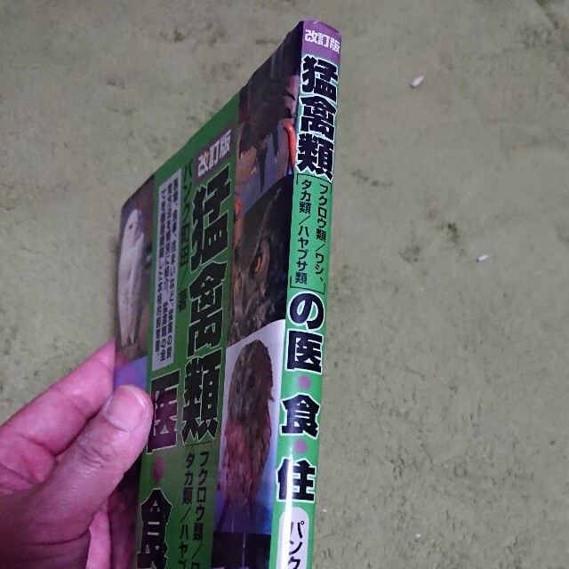 猛禽類の医・食・住 フクロウ類／ワシ、タカ類／ハヤブサ類 改訂版 エンタメ/ホビーの本(住まい/暮らし/子育て)の商品写真