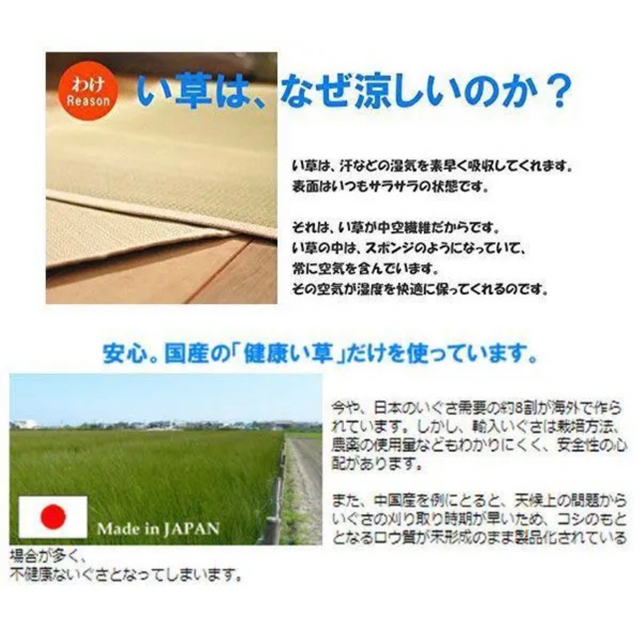 添島勲商店 国産 い草花ござ 掛川織り「大原格子」 3畳約190×250 訳あり 5