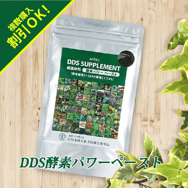 【追加購入値引あり】アイテック DDS酵素パワーペースト　残数1個