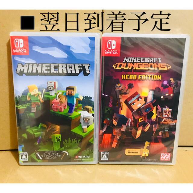 新品未開封Minecraft マインクラフト ダンジョンズ ヒーローエディション