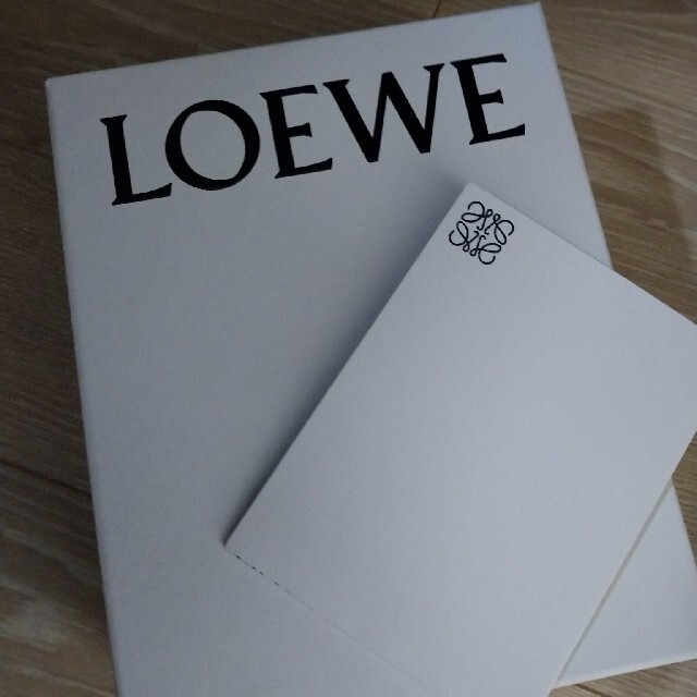 LOEWE(ロエベ)のLOEWE ロエベ ゲート ダブルジップ ショルダーバッグ 新品未使用 レディースのバッグ(ショルダーバッグ)の商品写真