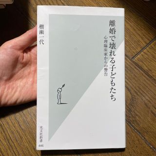 離婚で壊れる子どもたち 心理臨床家からの警告(文学/小説)