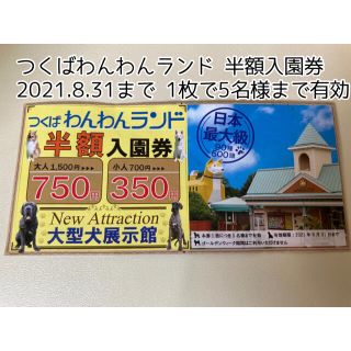 つくばわんわんランド 半額入園券(2021年8月31日まで・1枚で5名まで(その他)