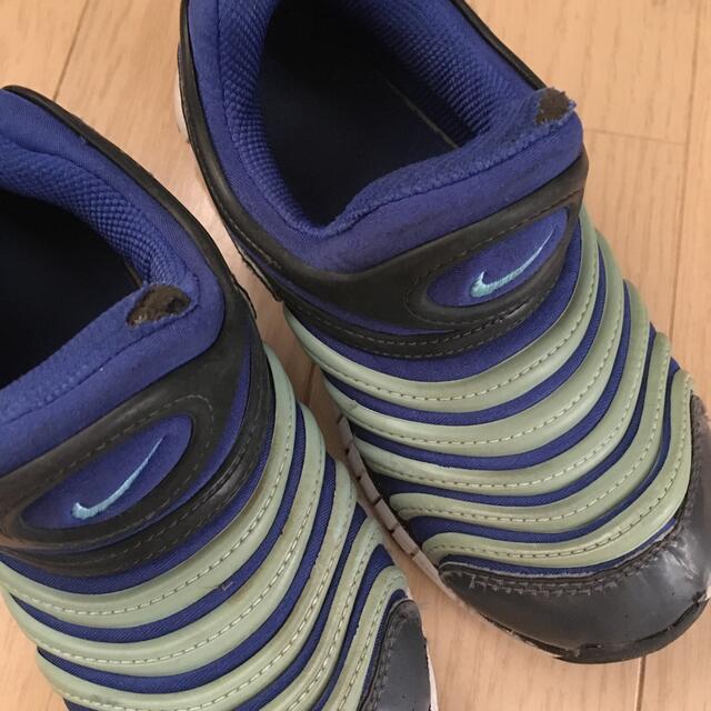 NIKE(ナイキ)のNIKE ダイナモ　18.5センチ キッズ/ベビー/マタニティのキッズ靴/シューズ(15cm~)(スニーカー)の商品写真