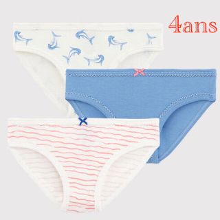 プチバトー(PETIT BATEAU)の新品 プチバトー 4ans プリント ショーツ 3枚組 イルカ(その他)