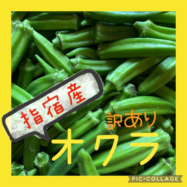 オクラ 訳あり 45本 食品/飲料/酒の食品(野菜)の商品写真