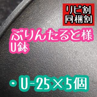 ぷりんたると様 U鉢(その他)