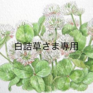 白詰草さま専用(その他)