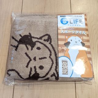 【非売品】あらいぐまラスカル　スポーツタオル(タオル)