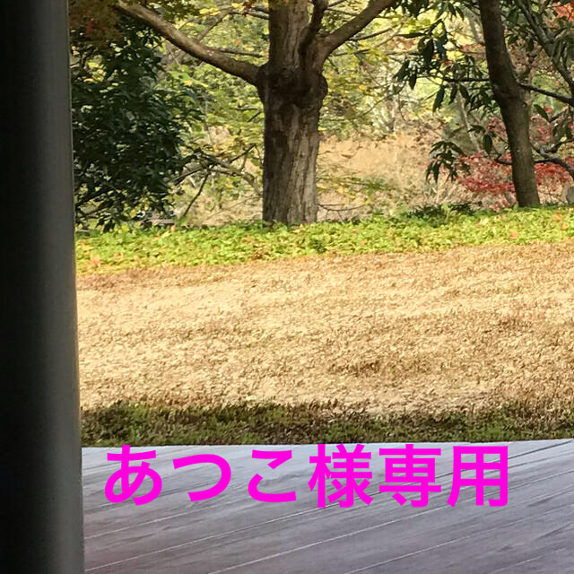 あつこ様専用 bskampala.com