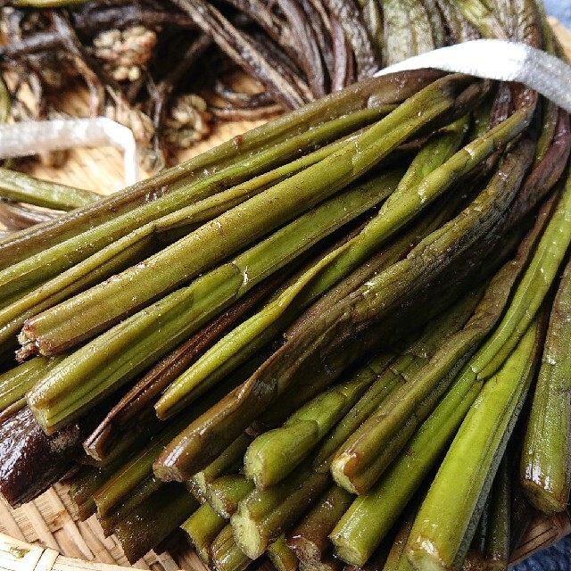 青森県産  わらび塩漬け  1.6㎏ 食品/飲料/酒の食品(野菜)の商品写真