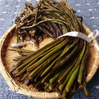 青森県産  わらび塩漬け  1.6㎏(野菜)