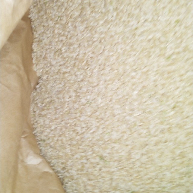 令和2年産栃木県特一等米コシヒカリ玄米30キロ無農薬 令和2年産栃木県特一等米コシヒカリ玄米30キロ無農薬