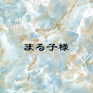 まる子様専用　塩レモン1(リキュール/果実酒)