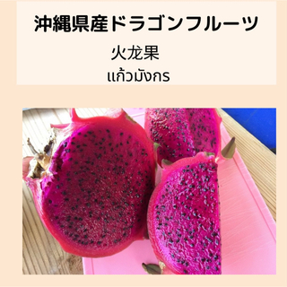 沖縄県産ドラゴンフルーツ赤　1kg 常温発送(フルーツ)