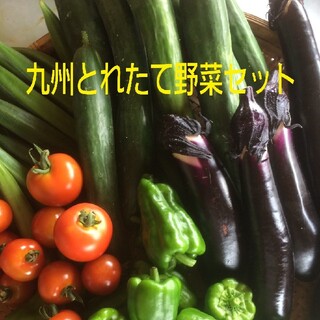 無農薬野菜　詰め合わせ(野菜)